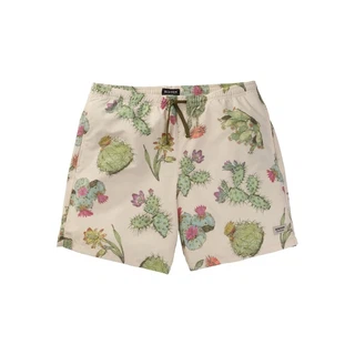 Szorty Burton Creekside (Cactus) SS20